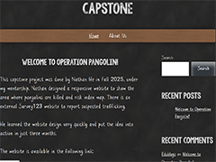 Capstone project